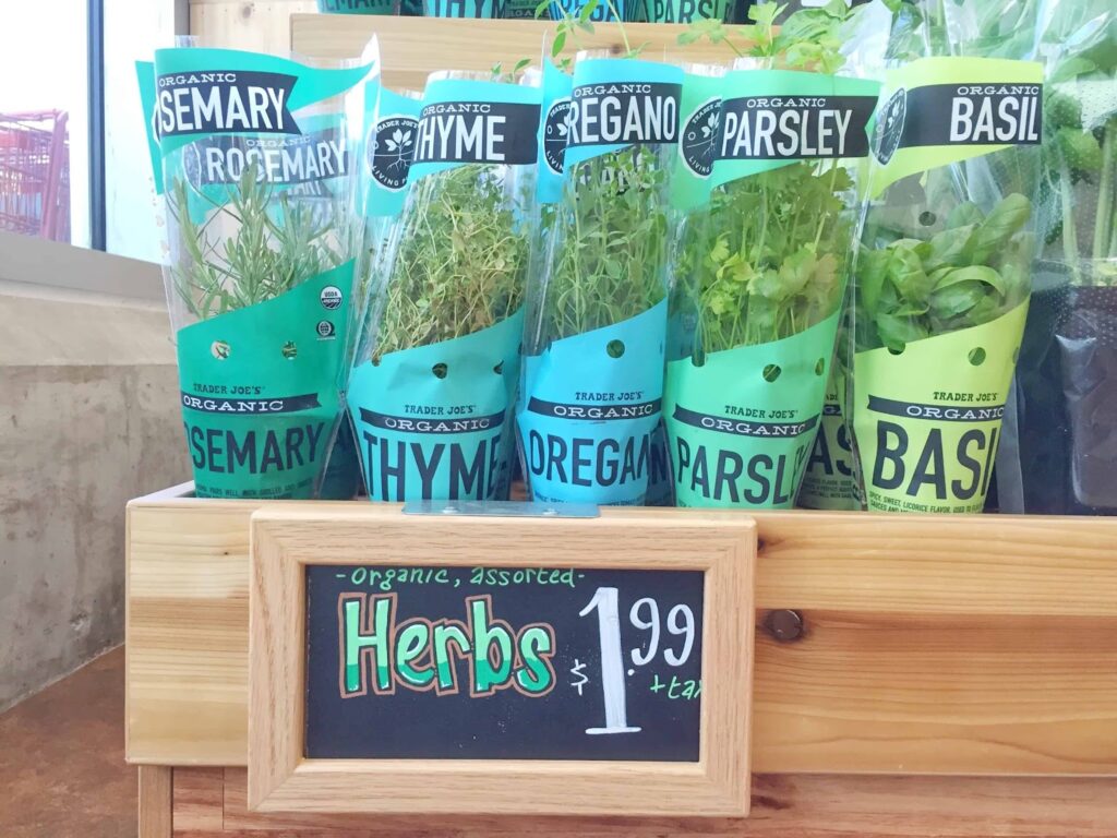 Live herbs from Trader Joe's