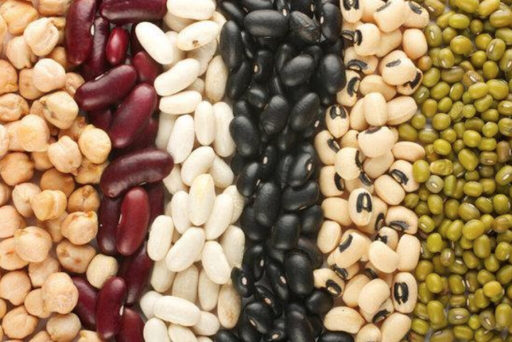 Bean Health: Fiber and Protein Rich Superfoods
