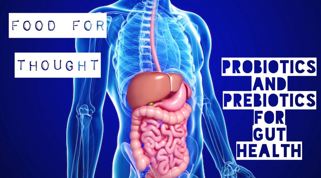 Food for Thought: Probiotics and Prebiotics for Gut Health
