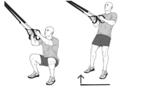 The Squat - Movement of the Month