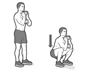 Goblet squat