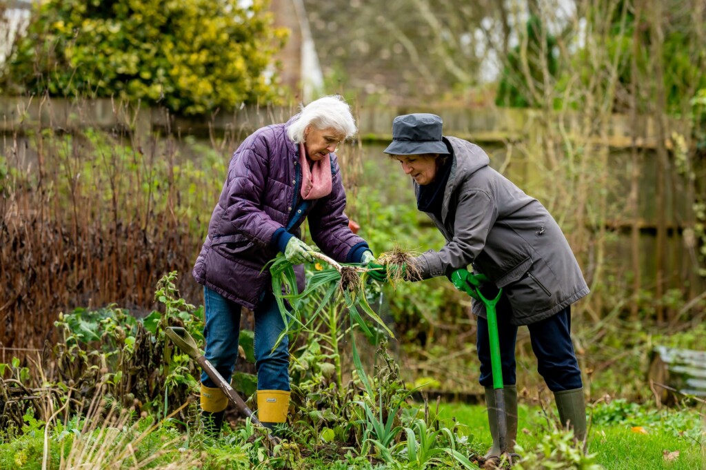 Gardening counts towards NEAT (non-exercise activity thermogenesis)